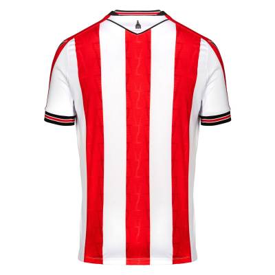 Stoke City_24_25_macron_home_kit_b_1.jpeg